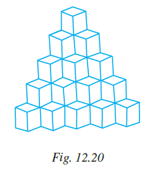 Page 371 Chapter 12 Class 7th NCERT Exemplar Page 371 Chapter 12 Class 7th NCERT Exemplar